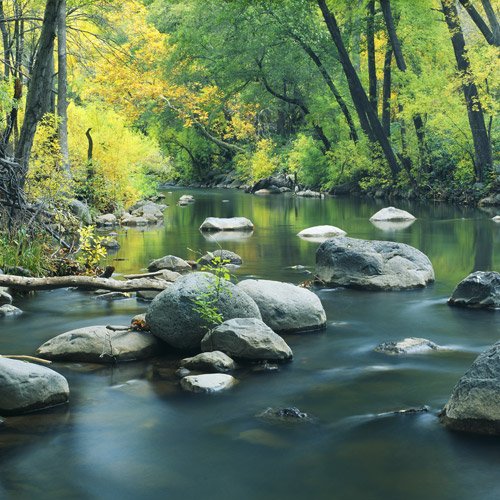 Fluss im Wald – sinnbildlich für Gesundheit